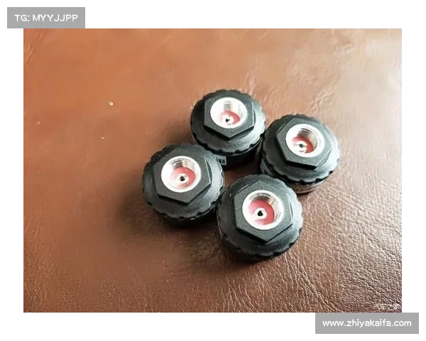 伟力通太阳能无线胎压监测器首发价749元 伟力通太阳能无线胎压监测器首发价749元